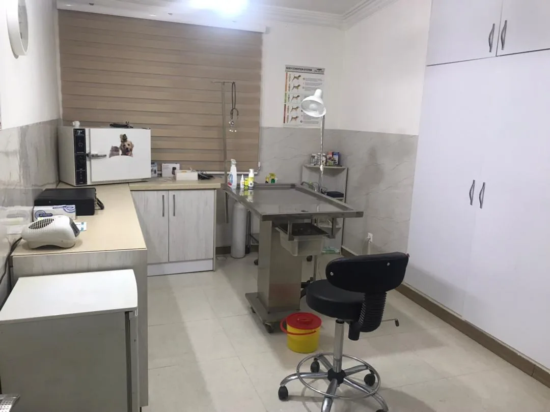 کلینیک دامپزشکی ژینا - تصویر 3