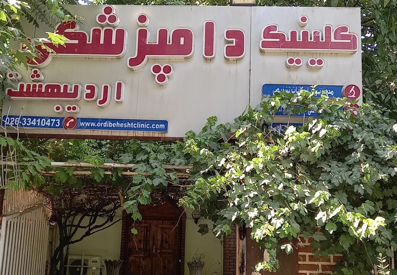 کلینیک دامپزشکی اردیبهشت - تصویر 3