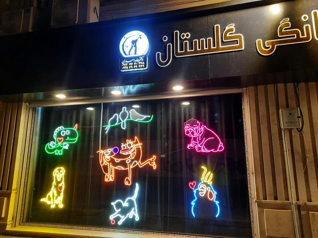 کلینیک دامپزشکی گلستان - تصویر 4