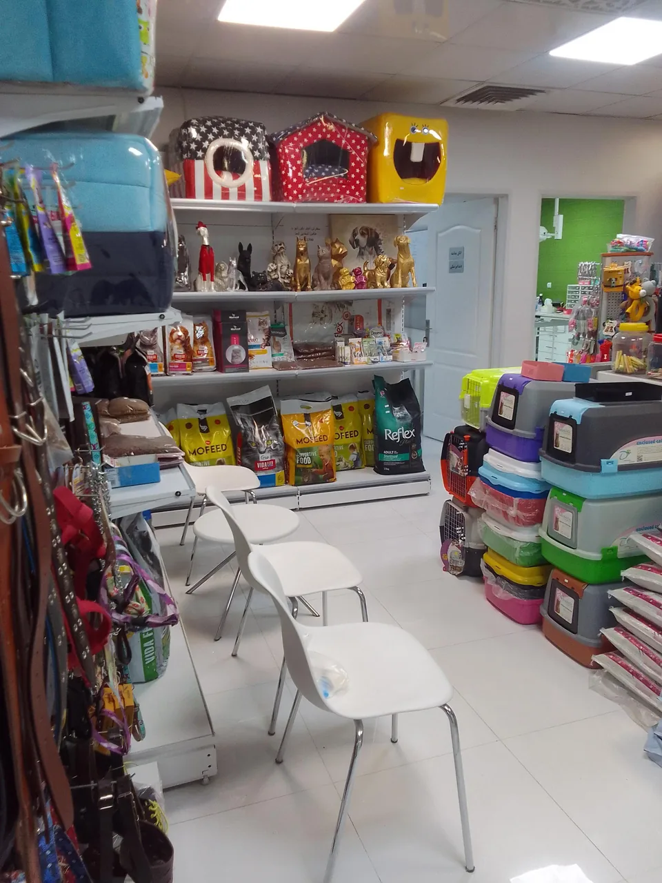 کلینیک دامپزشکی زرین گوش - تصویر 5