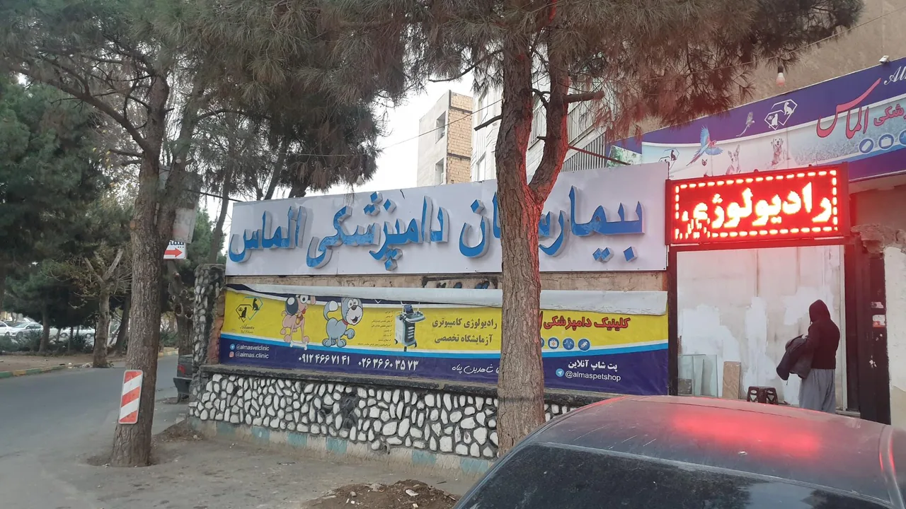 بیمارستان دامپزشکی الماس - تصویر 2