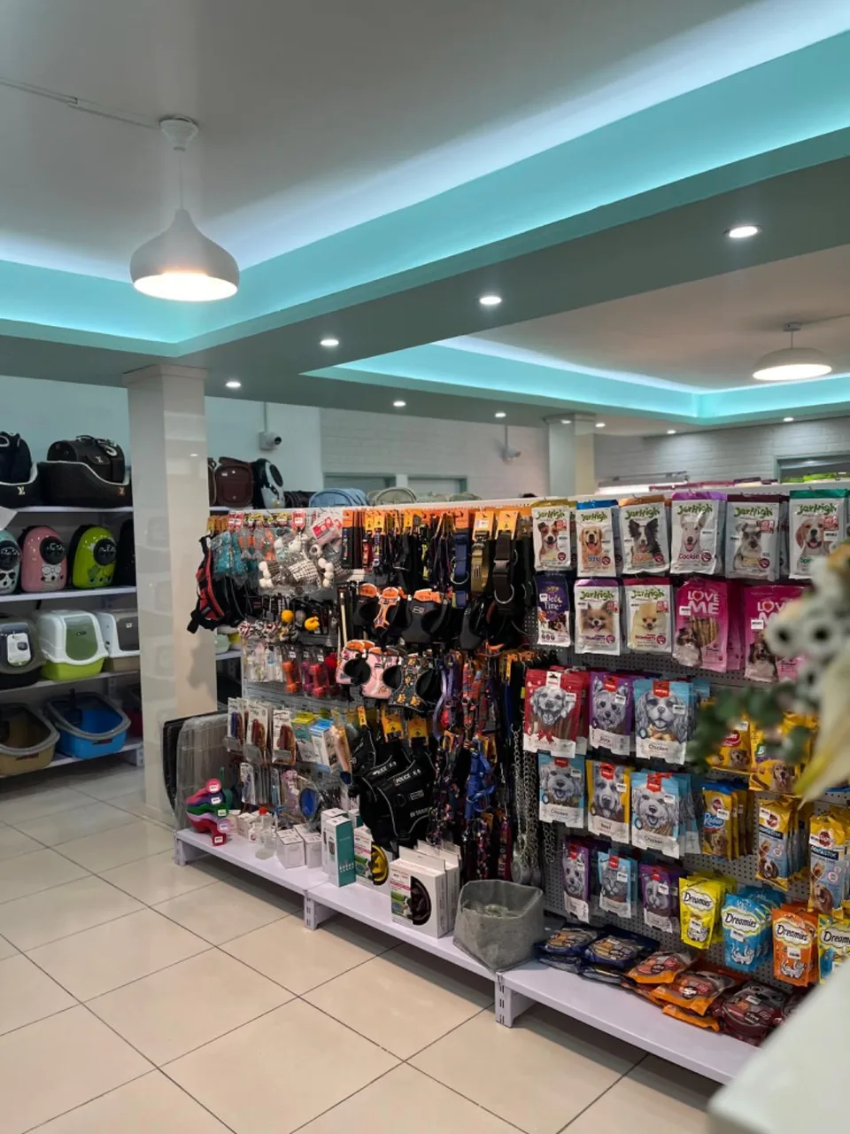 کلینیک دامپزشکی آیری - تصویر 5