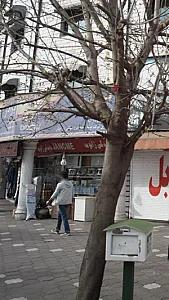 فروشگاه برادر