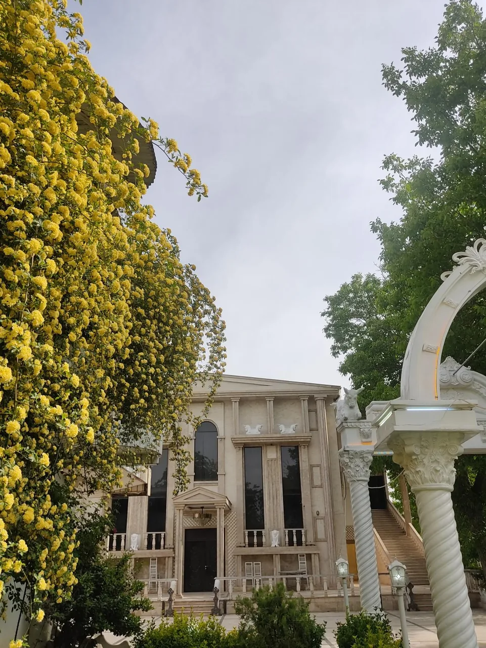 باغ تالار نیلوفر - تصویر 3