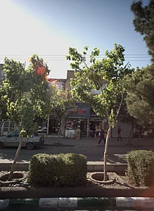 لوازم یدکی سید