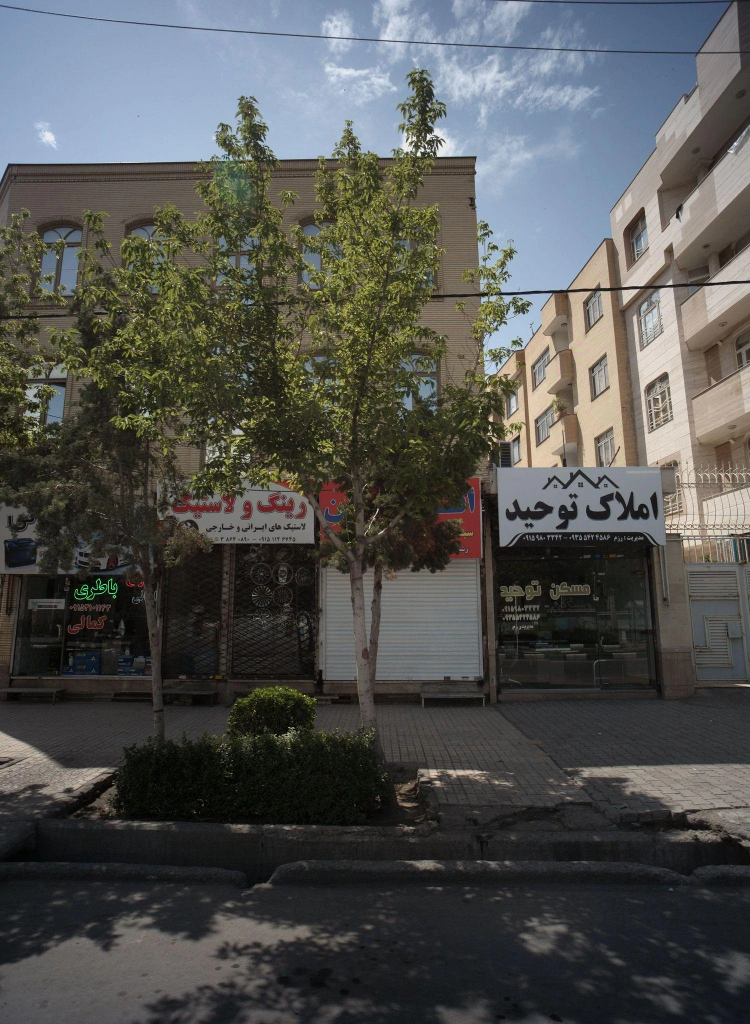 رینگ و لاستیک باقری
