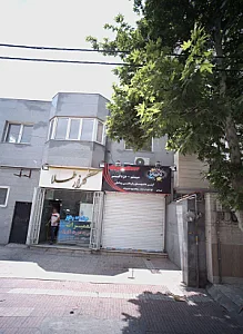 سیستم دزدگیر