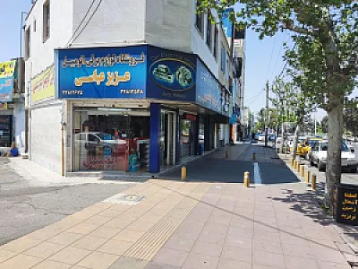 خدمات تخصصی انژکتور و برق خودرو - عزیز عباسی