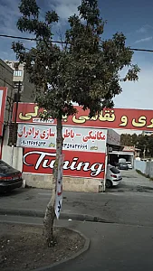 مکانیکی و باطری سازی برادران