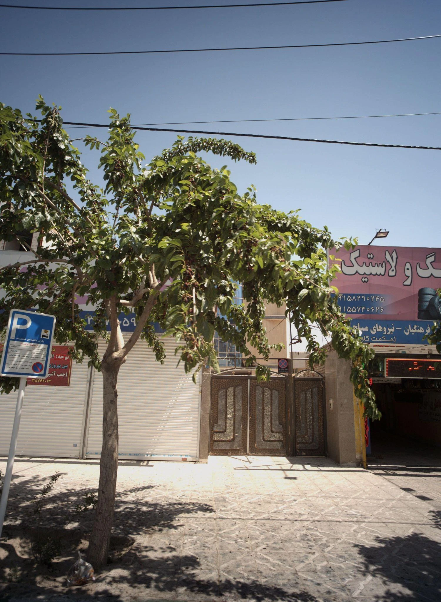فروشگاه رینگ و لاستیک