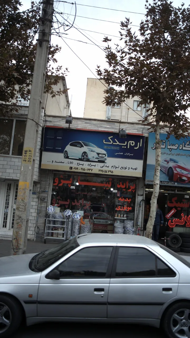 ارم یدک برادران همتی