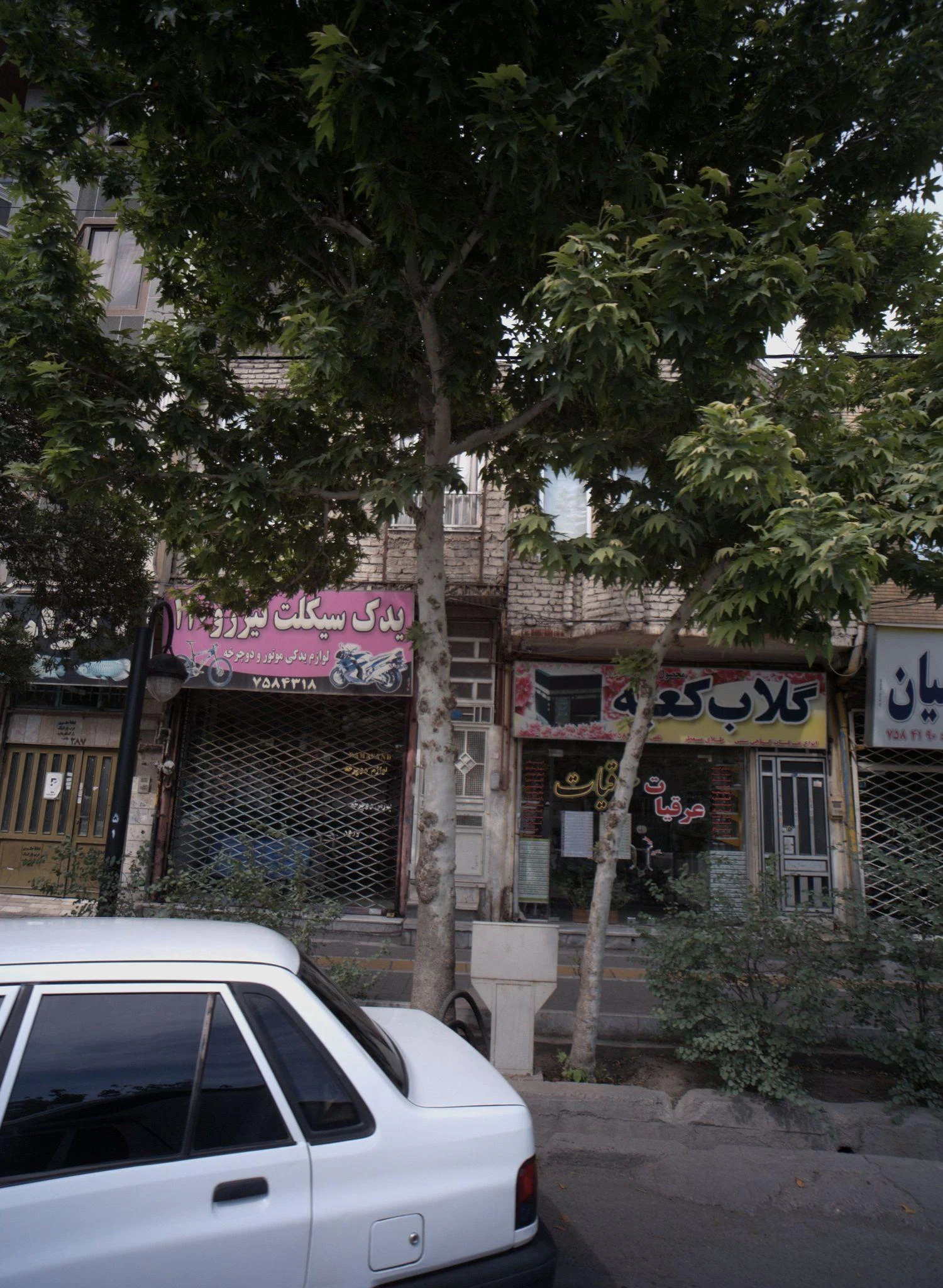 یدک سیکلت تیزرو 110 - لوازم یدکی خودرو در مشهد