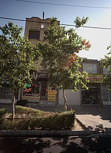 فروش سیستم اتومبیل پیشرو سیستم