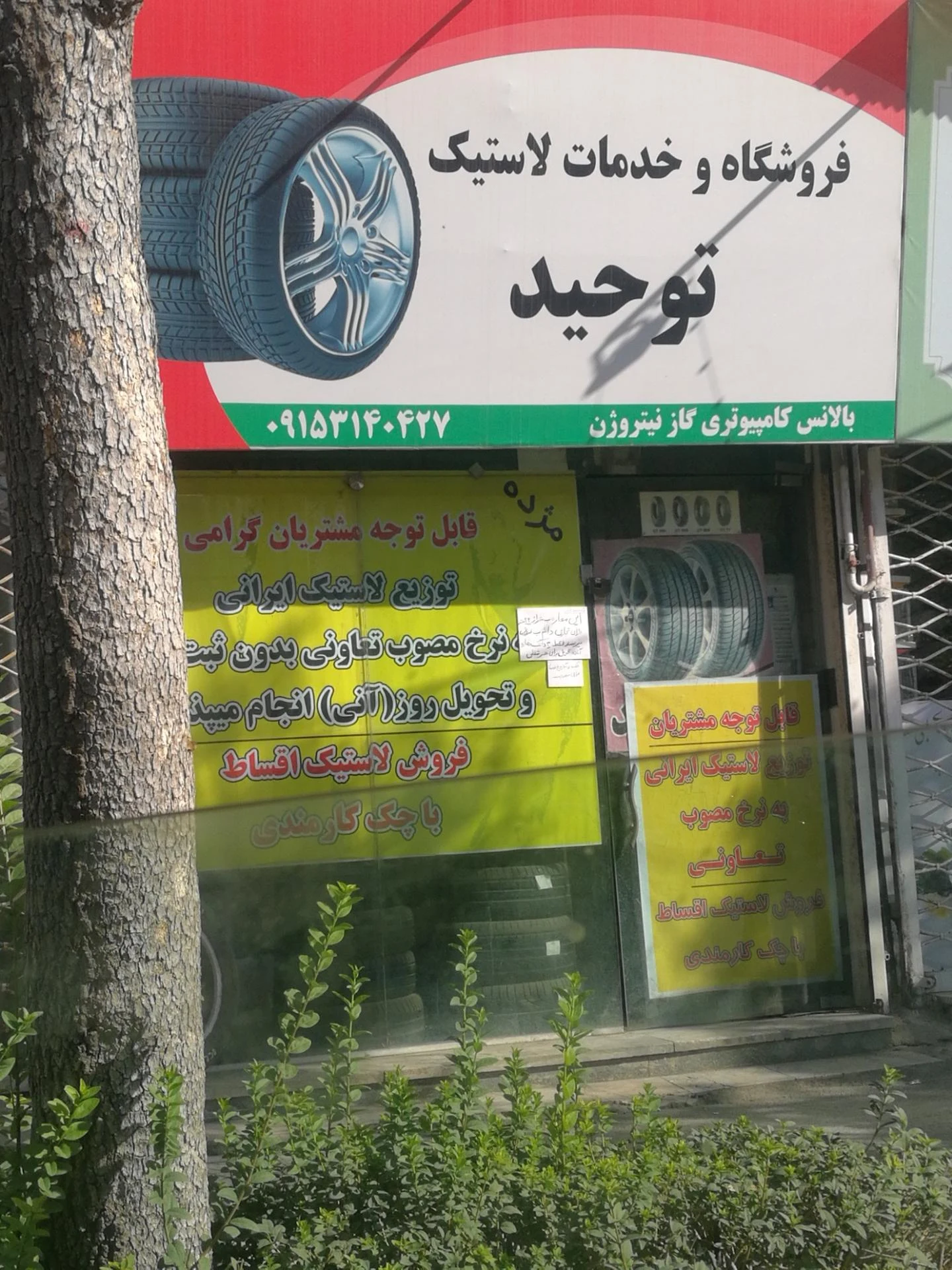 رینگ و لاستیک علمدار - تصویر 3