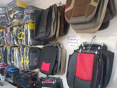 دوزندگی اتومبیل رضا