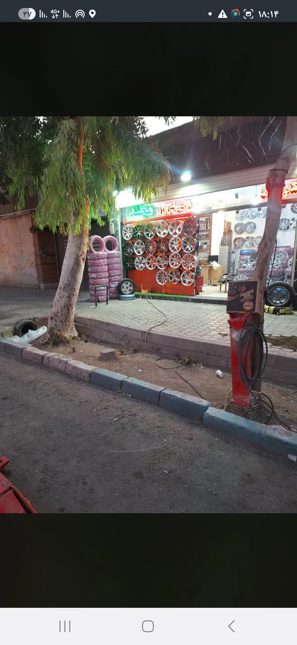 دنیای لاستیک ورینگ مجید - تصویر 2