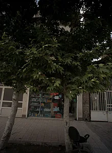 توس یدک