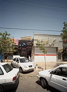 سیستم و دزدگیر خودرو صدای نسیم