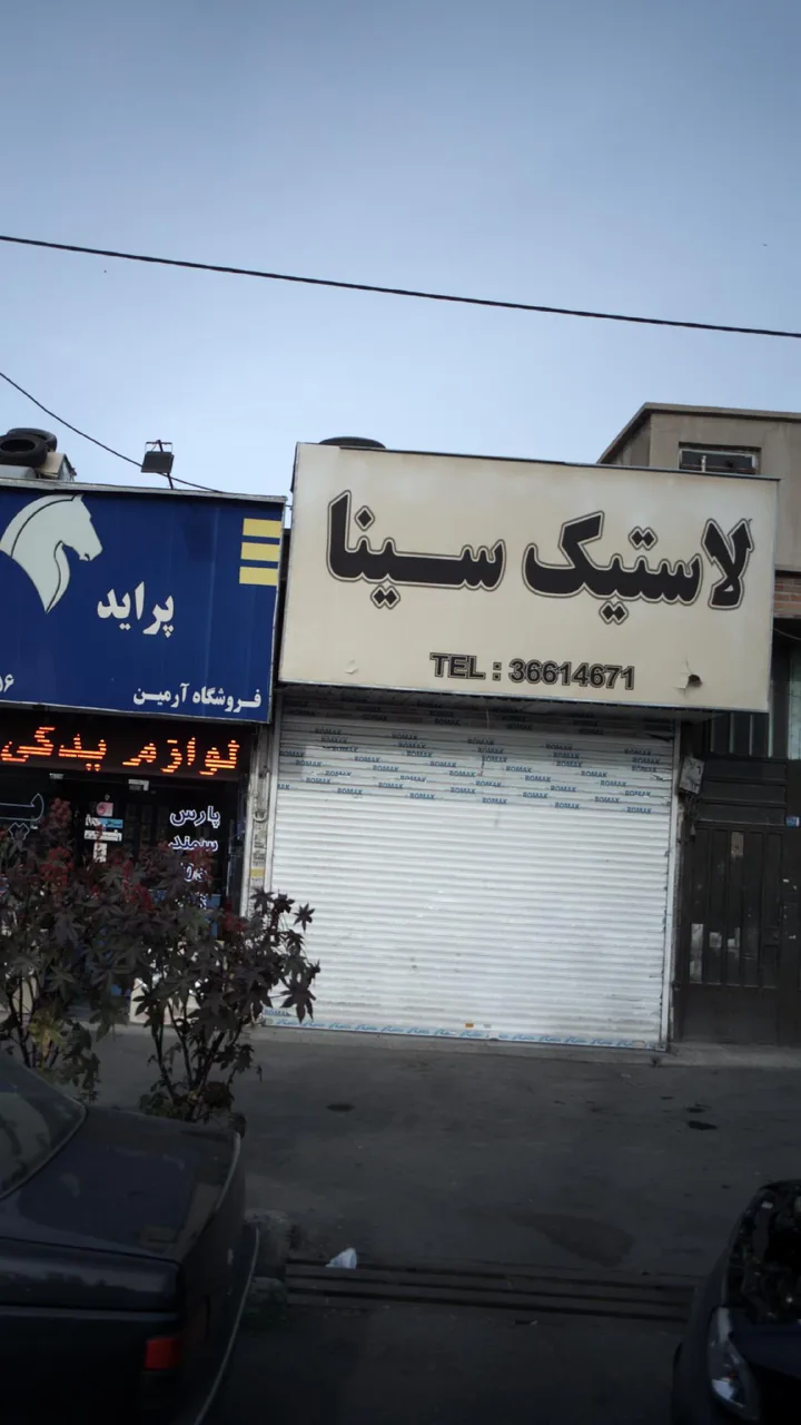 لاستیک سینا