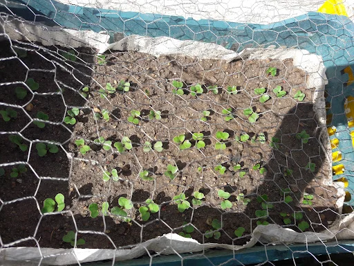 خدمات فنی مهندسی - صوتی و تصویری در تبریز