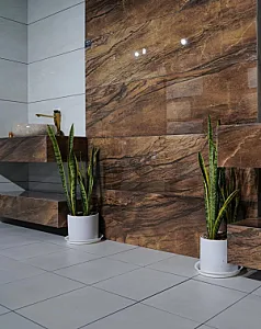 کاشی تچر (بازرگانی مرادی)