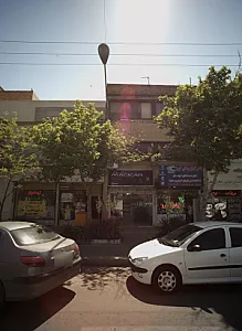 خدمات دزدگیر ماجیکار
