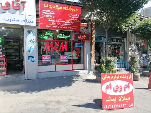 میلاد یدک - تصویر 5