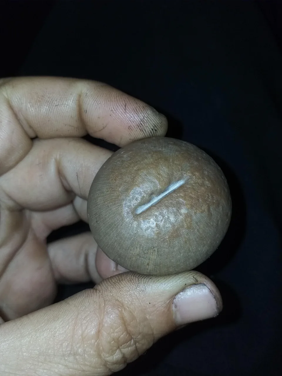 آریا سنگ شیراز - تصویر 4