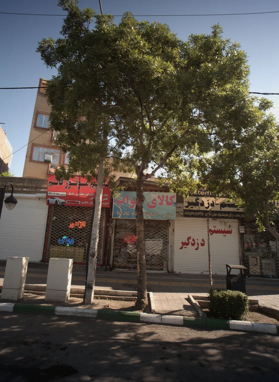 سیستم دزدگیر