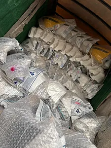 دنیای چادر