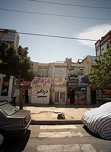دزدگیر سیستم ساعدی