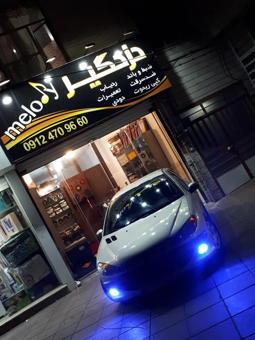 دزدگیر ملودی