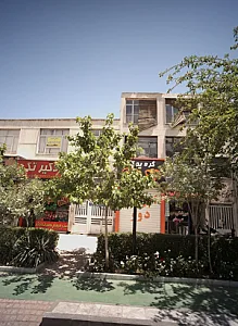 دزدگیر تک