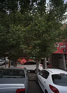 فروشگاه زانتیا حسینی