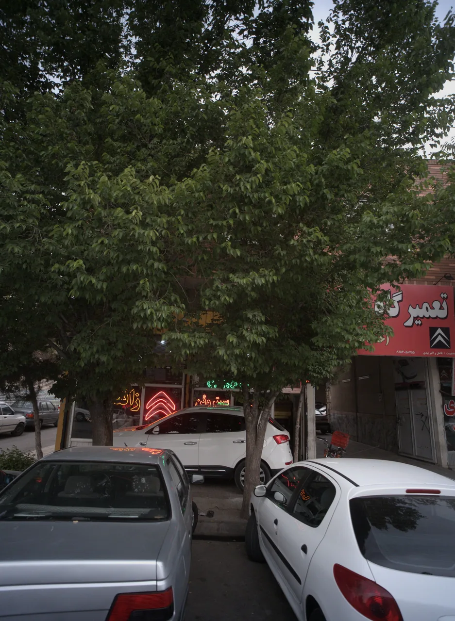 فروشگاه زانتیا حسینی