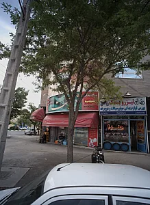 تیزرویدک