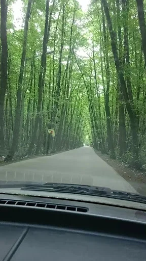 تلاش خودرو ایرانیان - نمایشگاه اتومبیل در تبریز