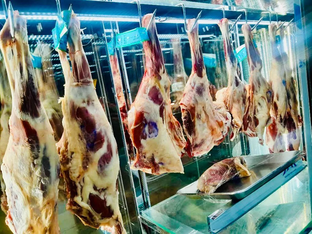قصابی گوشت باکس طاها - تصویر 5