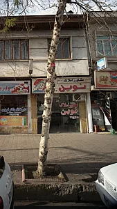 مشاوراملاک نوین