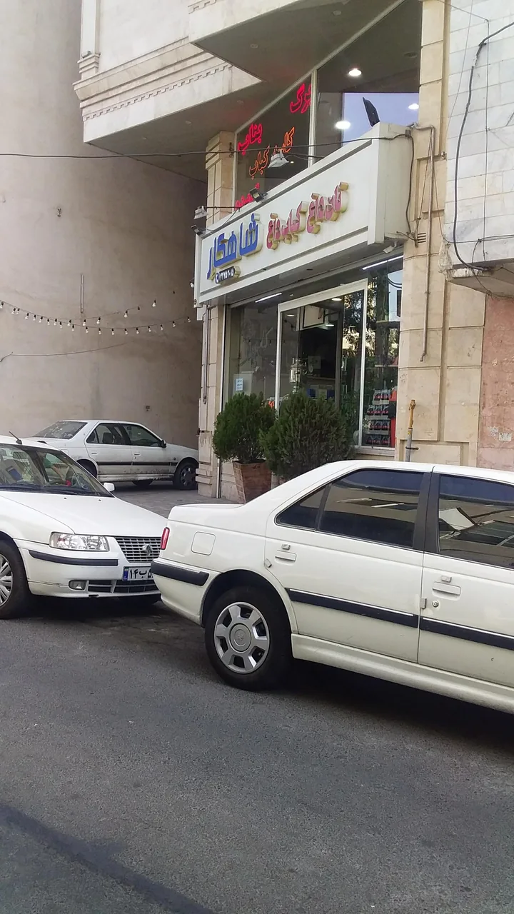 نان داغ کباب داغ شاهکار - تصویر 4