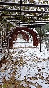 باغ تالار آرزوها