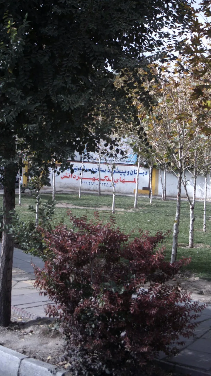 دبستان و پیش دبستان پسرانه غیردولتی گلهای مهر دانش