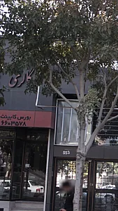 گالری شهرزاد‍‍