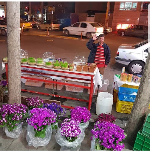 صدف مارکت تبریز