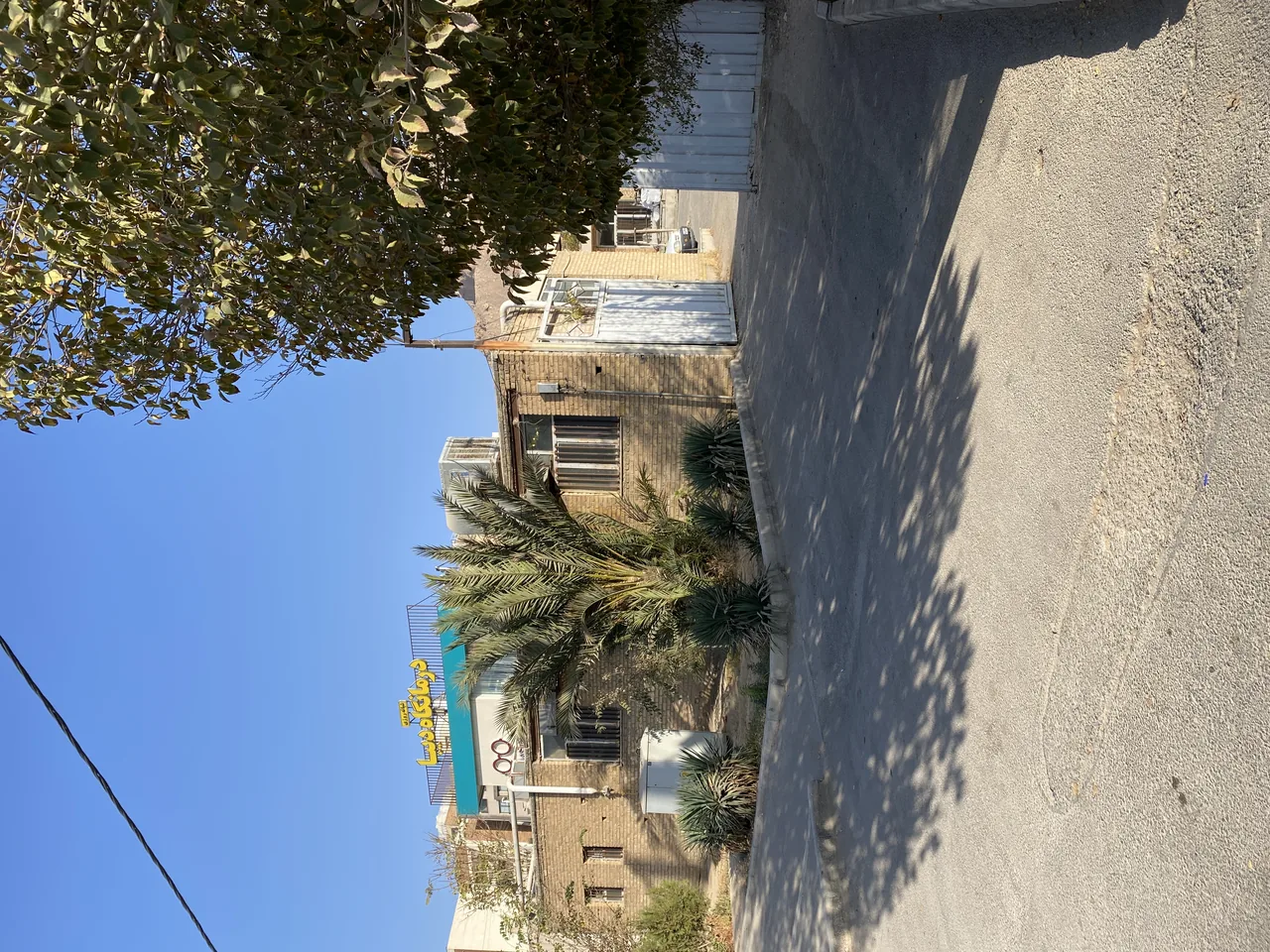 کیانو وود - تصویر 3