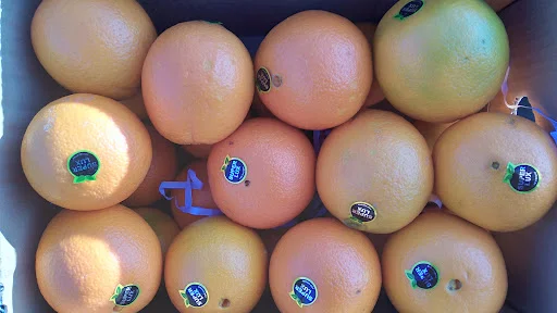 بارفروشی زیتون احمد کاظمی رشید - میوه و تره بار در تبریز