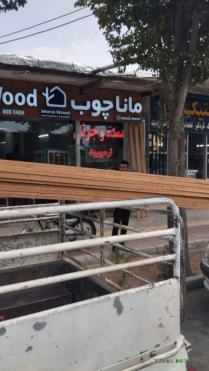 ماناوود - تصویر 2