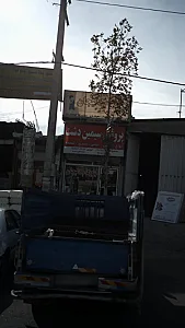 ایزوگام دلیجان