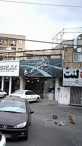 کابینت کاج طلایی