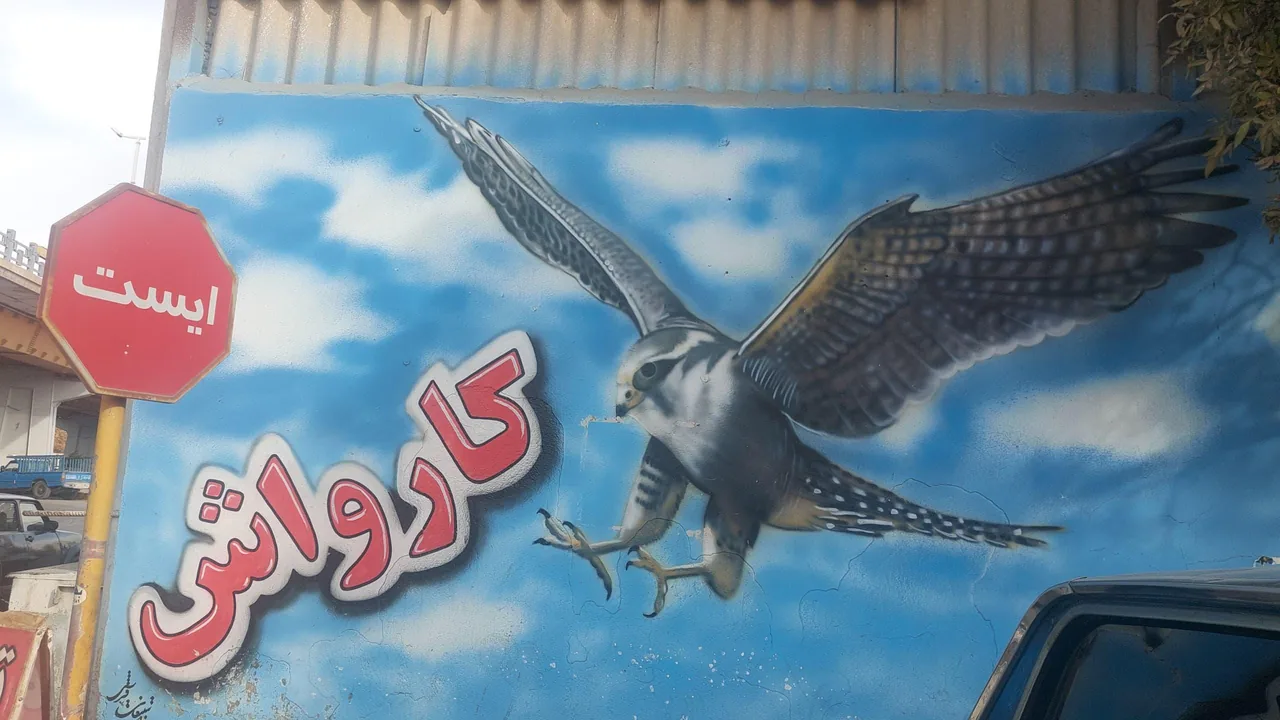 کارواش نانو بخار شاهین - تصویر 2